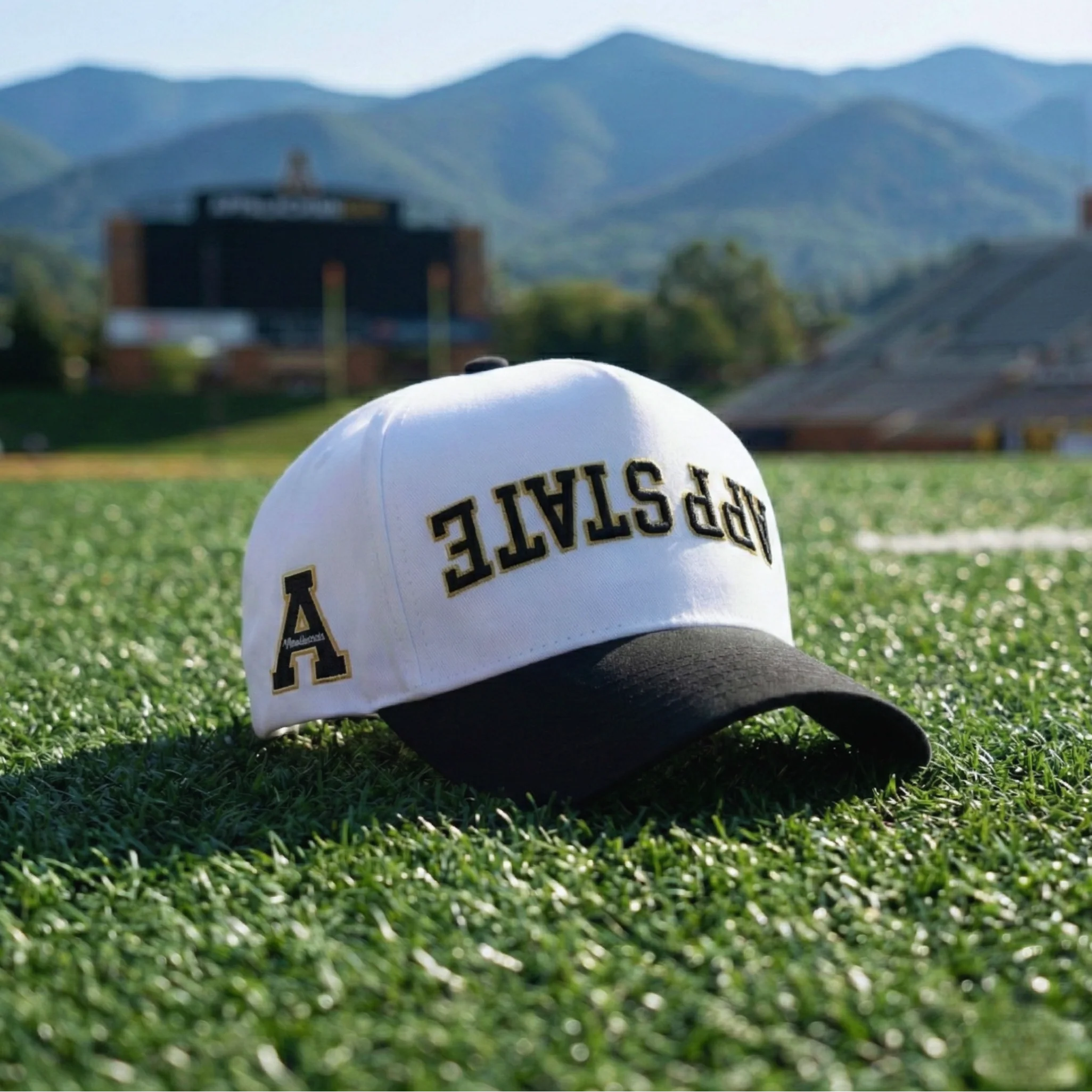 App State Hat - Image 4